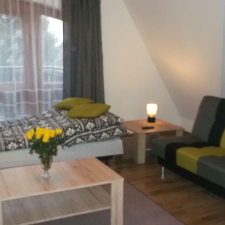 Apartamenty Lejowka Chocholow Luaran gambar